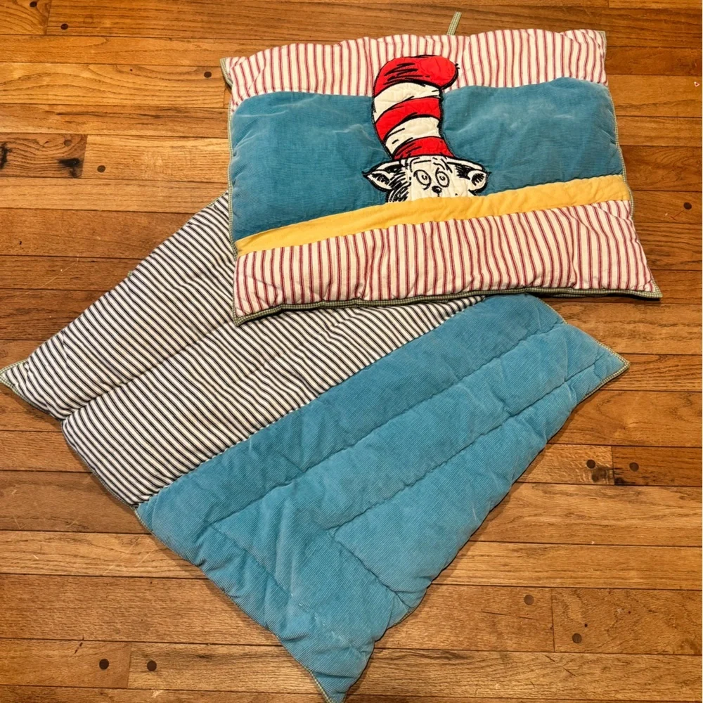 Pottery Barn Dr. Seuss Cat in the Hat Kids Appliqué Pillow Shams